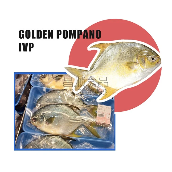 AAA IQF Golden Pompano