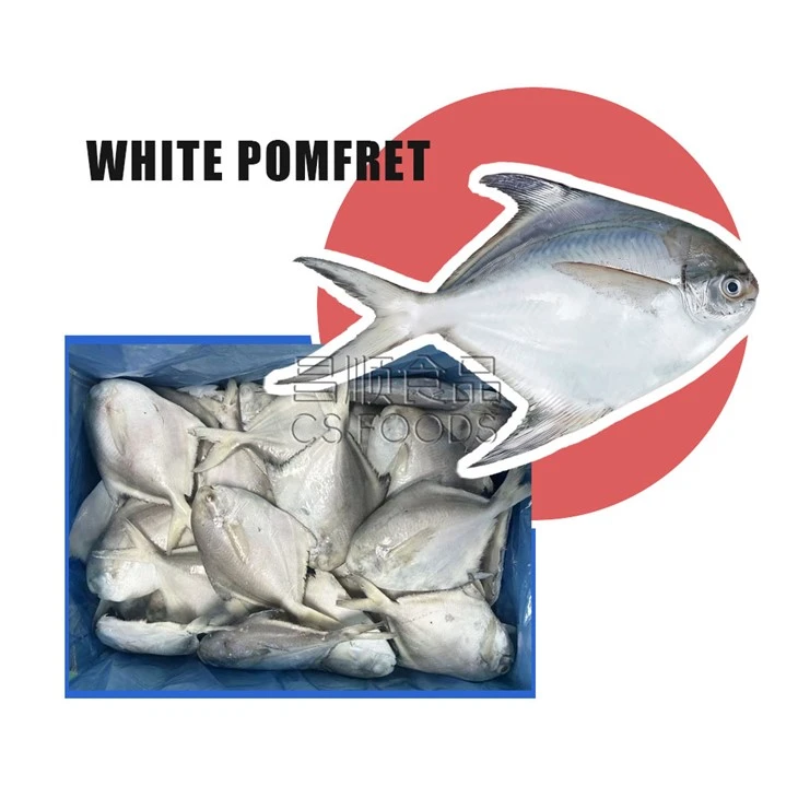 WR Frozen White Pomfret